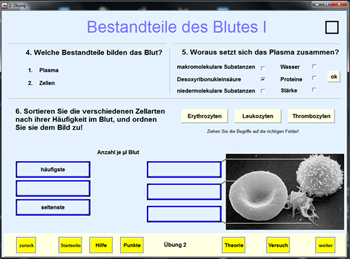 Illustration zum Projekt KryoBioTech